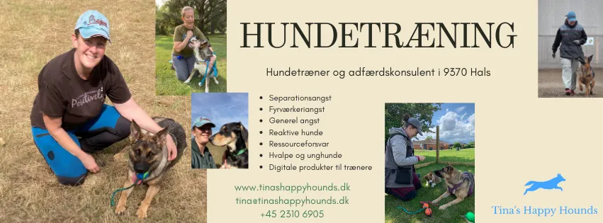 Tina's Happy Hounds