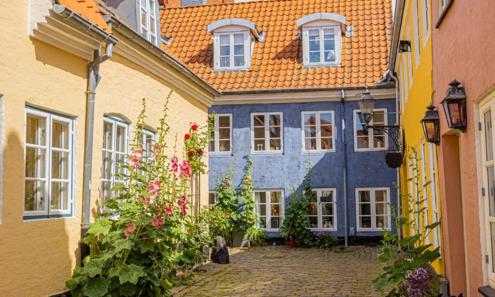Grafik med teksten Sommerguide fra MigogAalborg og Halsby.dk